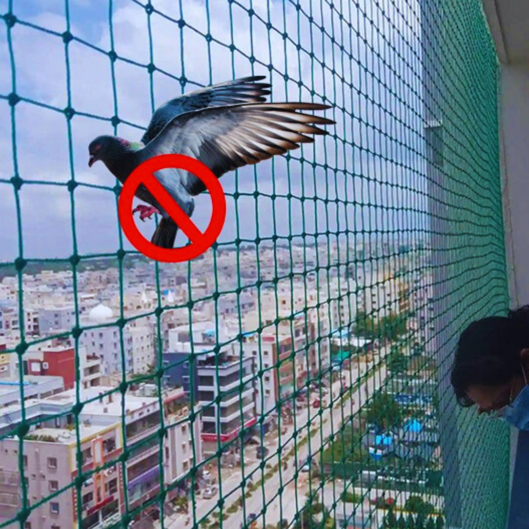 Pigeon Safety nets