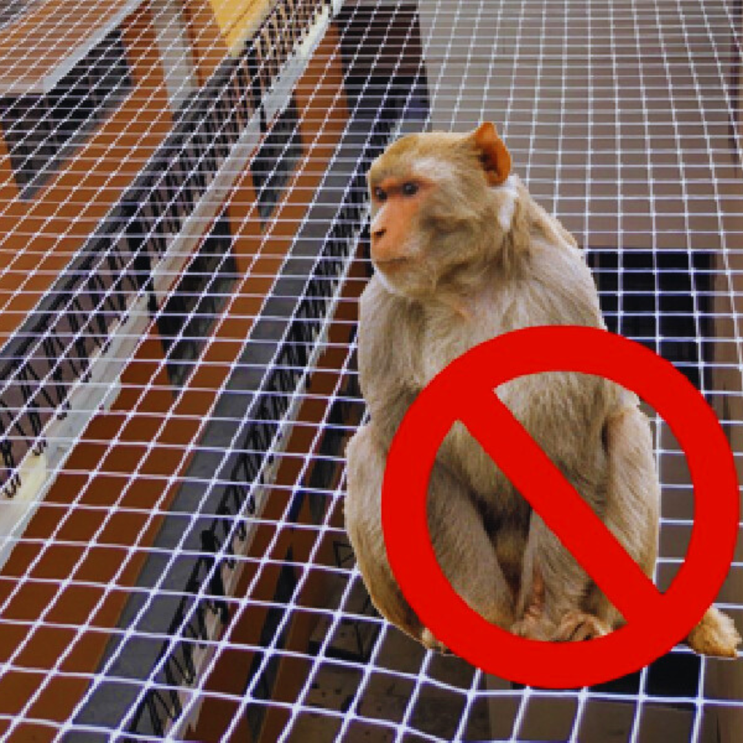 MONKEY SAFETY NETS
