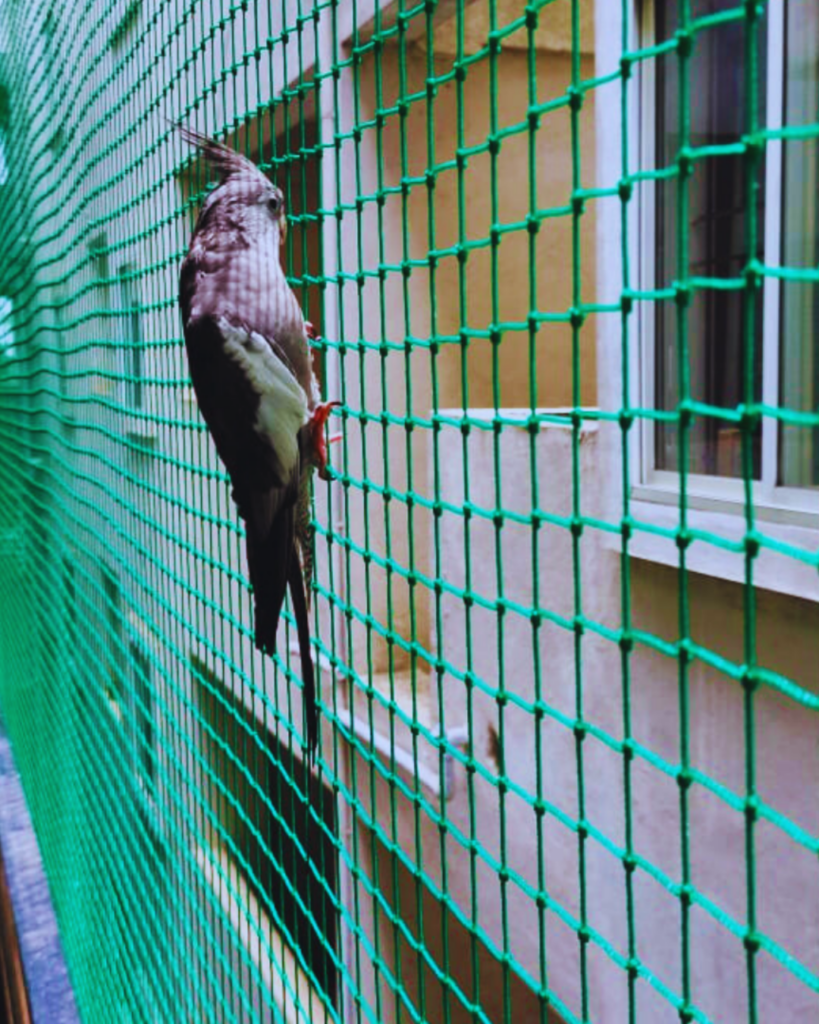 Professional safety nets installation services in Hyderabad