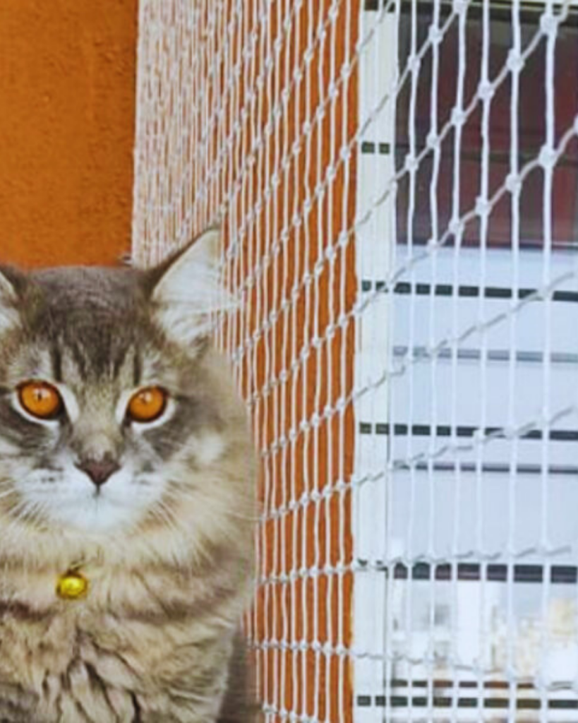 Pet safety nets for apartments